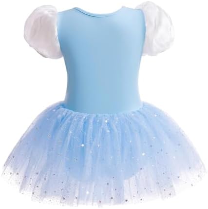 Dressy Daisy Ballet Leotard Tutu Dress for Toddler Girls