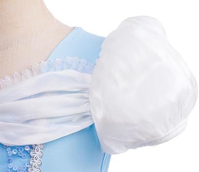 Dressy Daisy Ballet Leotard Tutu Dress for Toddler Girls