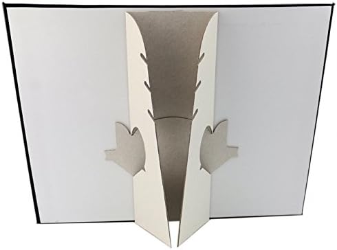 Tinsow 147 Inch x 12 Inch 17 Hook Jewelry Tray Display Organizer