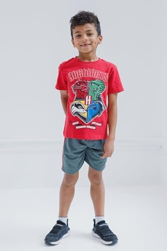 Harry Potter House T-Shirt Shorts Set 1