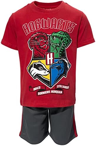 Harry Potter House T-Shirt Shorts Set 1