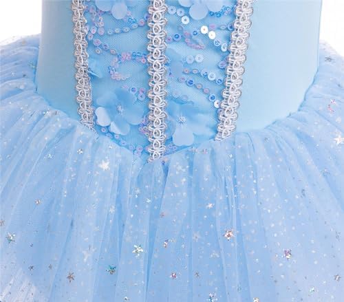 Dressy Daisy Ballet Leotard Tutu Dress for Toddler Girls