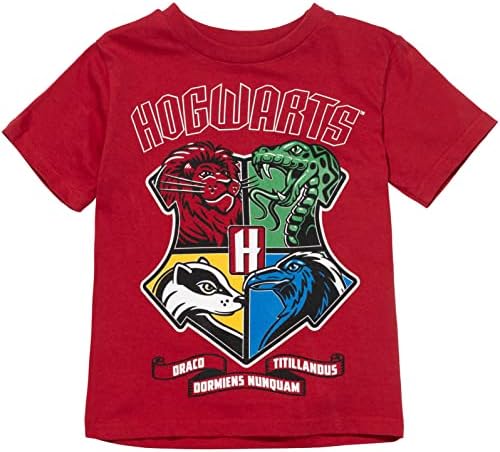 Harry Potter House T-Shirt Shorts Set 1