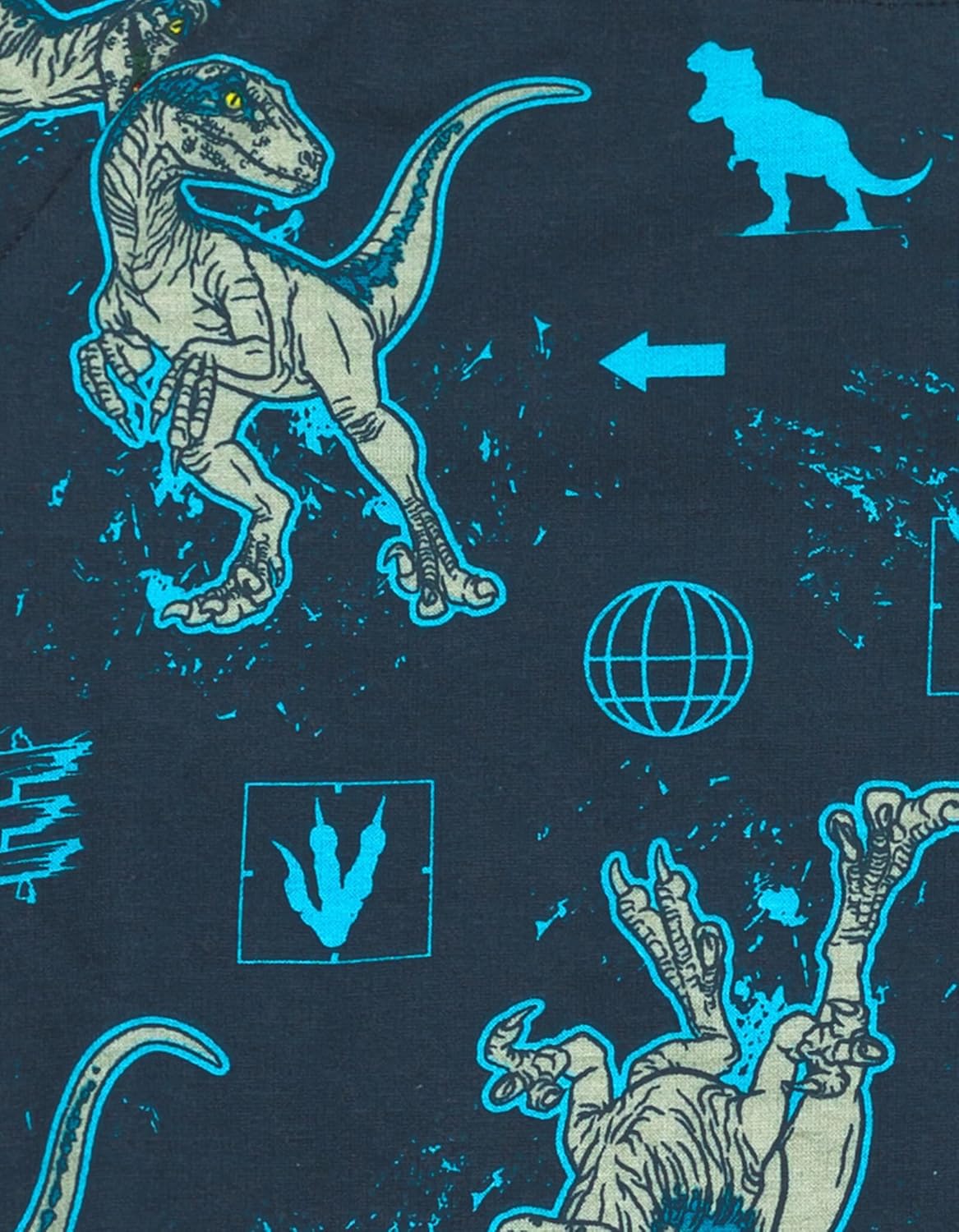 Jurassic World Blue Graphic Sweatshirt and Bike Shorts Set for Kids
