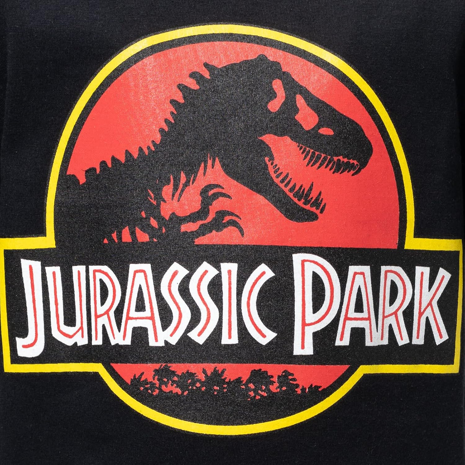 Jurassic Park Athletic Graphic T-Shirt and Shorts Outfit Set for Kids